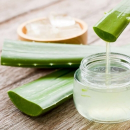 Aloe vera are numeroase beneficii pentru sănătate