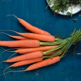 Fibrele morcovului dezinfectează tractul intestinal